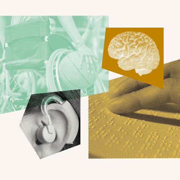 Disability Rights image